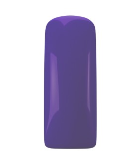 Gelpolish Glass Purple 15ml Magnetic