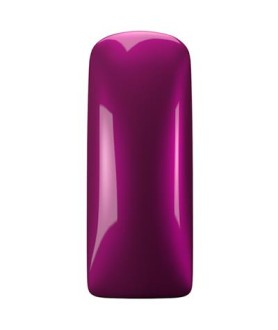 LL Polish Purple Rain 7ml Magnetic