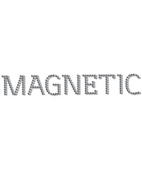 Swarovski Magnetic logo 20x3