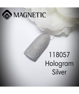 Glitter Spray Hologram Silver 17gr
