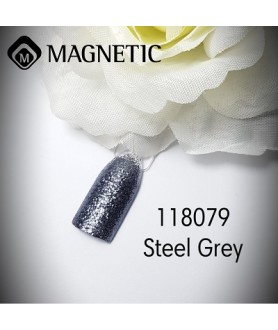 Glitter Spray Steel 17gr Magnetic