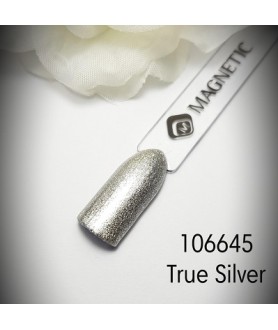 One Coat Color Gel True Silver