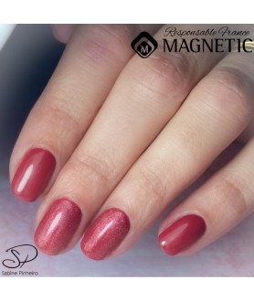 Formation Pose de Vernis Semi-Permanent et Renfort