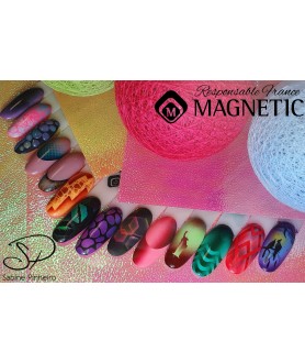 Formation Airbrush - Airnails by Magnetic Niveau 1