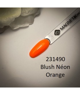 Blush Neon Orange 15ml