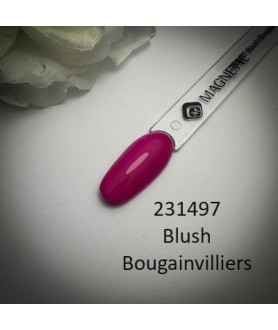 Blush Bougainvilliers 15ml