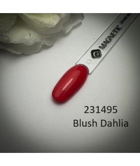 Blush Dahlia 15ml