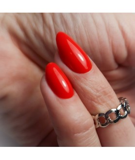 Formation de Base Gel "Les Ongles de Salon"