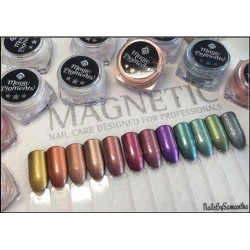 Magnetic Magic Pigments 12 pcs